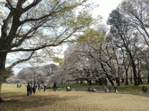 砧公園